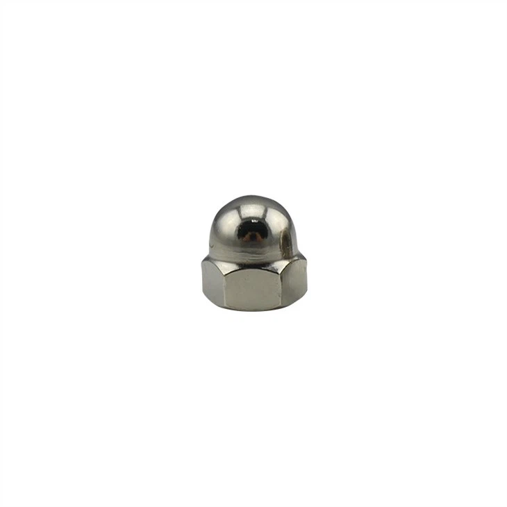 Stainless Steel Cap Nuts  (4)