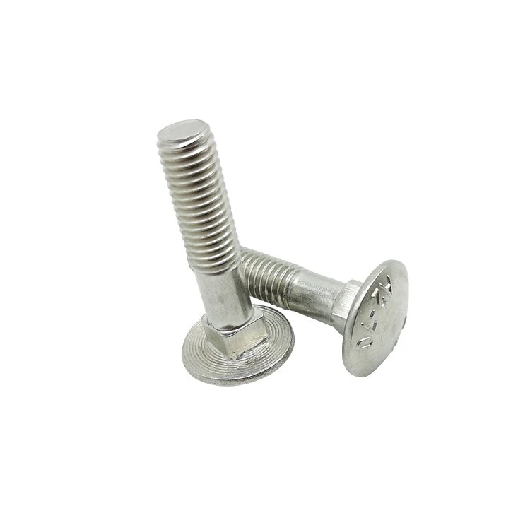 Stainless Steel Square Neck Carriage Bolts